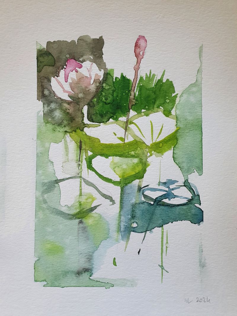 Fleurs de lotus, 2024. Aquarelle, A5