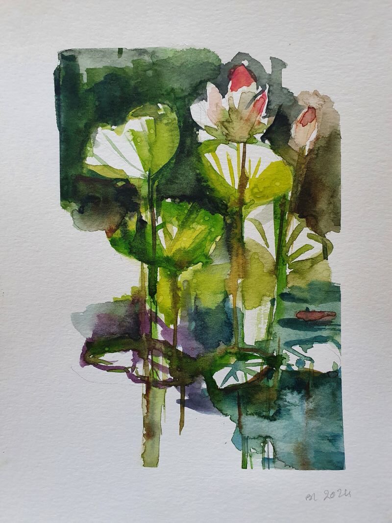 Fleurs de lotus, 2024. Aquarelle, A5