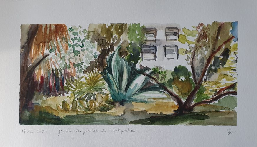 Vue panoramique au jardin des plantes de Montpellier, 2025. Aquarelle, A4