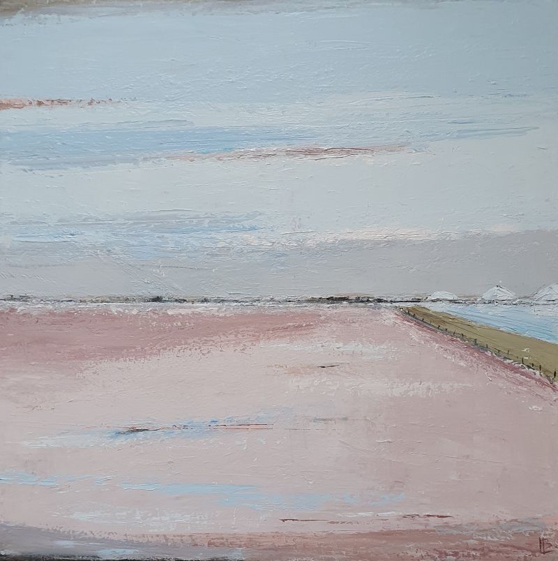 Salins du midi. Acrylique sur toile. 60 x 60 cm. 2025