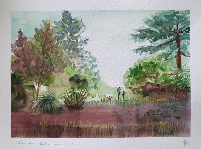 Jardin des plantes, mai 2026. Aquarelle format A4